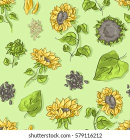 Seamless pattern with sunflowers and seeds