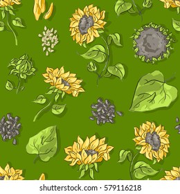 Seamless pattern with sunflowers and seeds