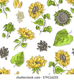 Seamless pattern with sunflowers and seeds