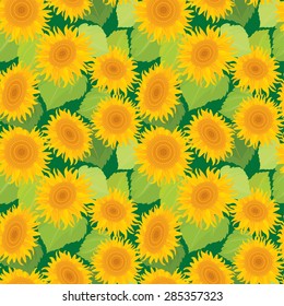 Seamless pattern with sunflowers. Summer season, nature background.
