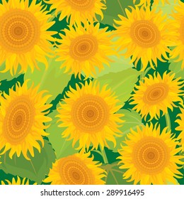 Seamless pattern with sunflowers. Summer season, nature background.
