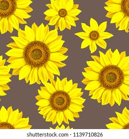 Seamless pattern with sunflowers. Vector illustration.