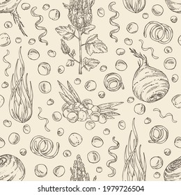 Seamless pattern with super food: acai berries, maca peruvian, spirulina algae and  quinoa. Vector hand drawn illustration. 