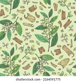 Seamless pattern with symplocos racemosa: lodhra  plant, leaves, flowers, lodhra berryes and symplocos racemosa bark. Cosmetic, perfumery and medical plant. Vector hand drawn illustration.