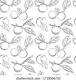 Seamless pattern with tangerines on branches with leaves. Black-white vector pattern with citrus fruits. Elements with a contour drawn by hand on white. Graphic pattern for packaging and textiles.