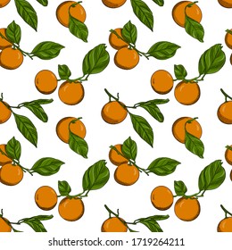 seamless pattern with tangerines on branches with leaves. Color vector pattern with citrus fruits. Elements are hand-drawn on a white background. juicy summer pattern for packaging and textiles.