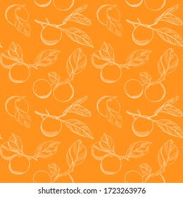 Seamless pattern with tangerines on branches with leaves. Color vector pattern with citrus fruits. Elements with contour are drawn by hand on a orange background. Pattern for packaging and textiles.