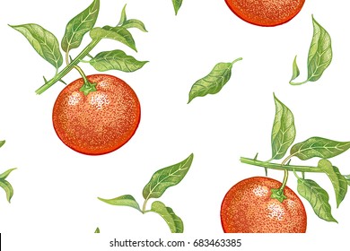 Seamless pattern with tangerines. Realistic vector illustration plant. Hand drawing with colored pencils. Mandarin fruit, leaf, branch on white background. For kitchen design, food packaging. Vintage.