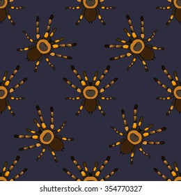Seamless pattern with . tarantula spider Brachypelma smithi   hand-drawn tarantula spider Brachypelma smithi. Vector illustration 