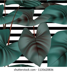 Seamless pattern taro leaves plant with background black white strip, botanical floral leaves