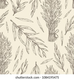 Seamless Pattern With Tarragon: Branch And Tarragon Leaves. Vector Hand Drawn Illustration.