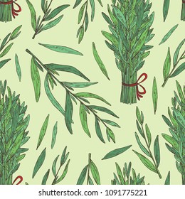 Seamless pattern with tarragon: branch and tarragon leaves. Vector hand drawn illustration.