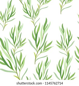 Seamless pattern with tarragon leaves. Botanical illustration. Vector