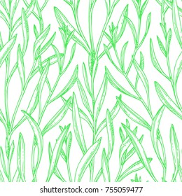 Seamless pattern with tarragon. Summer or spring background. Hand drawn vector illustration.