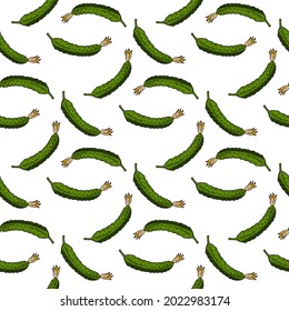 Seamless pattern with tasty cucumbers on white background. Vector image.