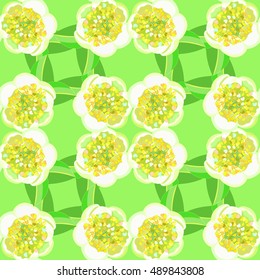 seamless pattern with tea bush Camellia Chinese on the green vector illustration