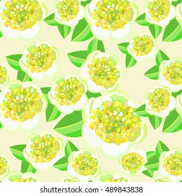 seamless pattern with tea bush Camellia Chinese macro vector illustration