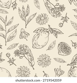 Patrón sin fisuras con té, fruta y corazones, té de hierbas: hojas de té, limón, flor de tilo, flor de manzanilla. Vector dibujado a mano ilustración.