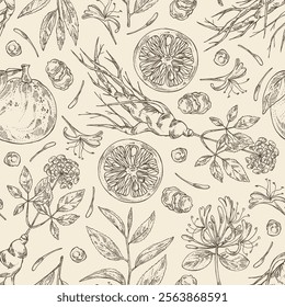 Seamless pattern with tea, fruits and hearbs, herbal tea: tea leaves, ginseng root, chinese honeysuckle flowers, lonicera pileata, yuzu fruit, citrus junos. Vector hand drawn illustration.