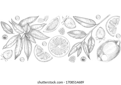 Patrón transparente de hojas de té y limón