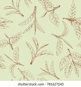 seamless pattern tea logo, hand-drawn leaves and branches of tea, green backround