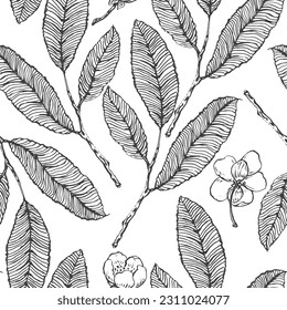 The seamless pattern with a tea tree branch, leaves and flowers, black lines isolated on white background. Hand drawn graphic image. Vector. Cameo Chinese.
