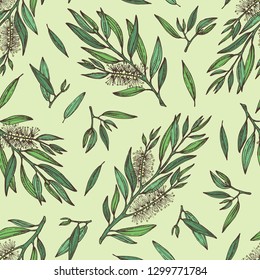 Seamless Pattern With Tea Tree. Cosmetics And Medical Plant. Vector Hand Drawn Illustration.