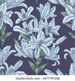 Seamless pattern with tender blue lilies on dark. Vector romantic background