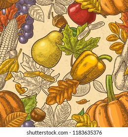 Seamless pattern for Thanksgiving Day with pumpkin, tomato, corn, pepper, leaf maple, seed chestnut, grapes, apple, pear. Vintage color vector hand drawn engraving illustration.