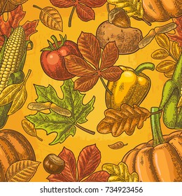 Seamless pattern for Thanksgiving Day with pumpkin, tomato, corn, pepper, leaf maple, seed chestnut. Vintage color vector hand drawn engraving illustration.