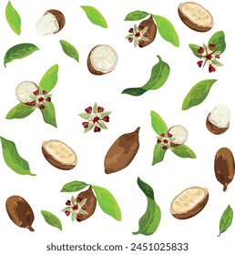 Seamless pattern of Cupuaçu (Theobroma grandiflorum),or cupuassu and copoasu, leaves, flower and nut isolated. Vector drawing. Botanical illustration. Healing Herbs.  