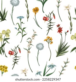 Seamless pattern with thin meadow flowers. Vector