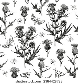 Seamless pattern with thistle flowers and buds. Ink hand-drawn detailed illustration. Vector graphic.