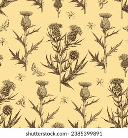 Seamless pattern with thistle flowers and buds. Ink hand-drawn detailed illustration. Vector graphic.