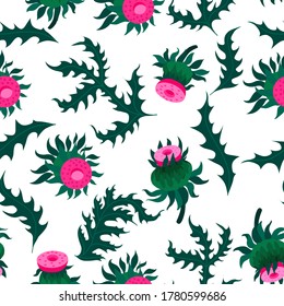 seamless pattern Thistle flowers and leaves illustration vector isolated on white background