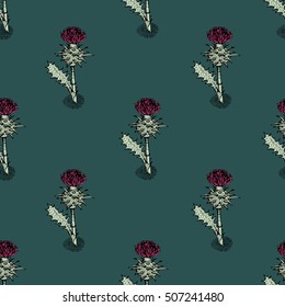 Seamless pattern with thistle. Herbal plant illustration