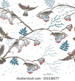 seamless pattern with thrushes Fieldfare. pattern with birds. winter pattern.