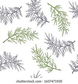 Seamless pattern of thuja tree branches, Christmas tree. eps10 vector stock illustration