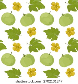 Padrão sem costura Tinda.Indian cabaça redonda. Um vegetal verde usado na cozinha tradicional indiana. Perfeito para embalagens de alimentos, receitas e projetos de design botânico