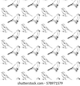 seamless pattern titmouse and bullfinch.