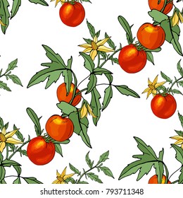 Seamless pattern with tomato on white. 