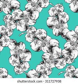 Seamless pattern tomatoes. Vector hand-drawn illustration