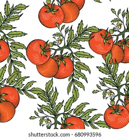 Seamless pattern with tomato.Vector illustration.Farm market product. Great for menu, label, icon.Organic eco vegetable food