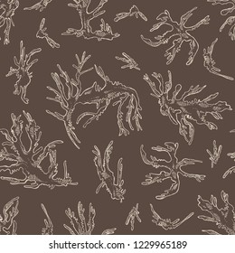 Seamless pattern with tosaka: laminaria seaweed, sea kale. Edible seaweed. Vector hand drawn illustration.