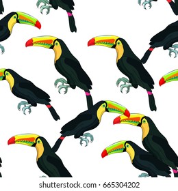 Seamless pattern Toucan a  exotic bird Vector illustration