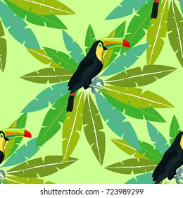 seamless pattern Toucan  exotic bird  on palm. Vector illustration