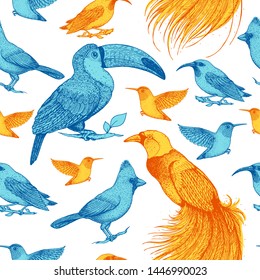 Seamless pattern with toucan, hummingbird, bird of paradise, red cardinal bird, purple honeycreeper. Animals illustration. Tropical birds. Hand drawn vector illustration.