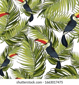 Seamless pattern toucan and palm branches. Beautiful drawings. art print for travel and leisure, fashion, spa and wellness, weddings, wallpapers, wrapping paper, scrapbooking