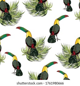 Seamless pattern toucan and palm branches. Beautiful drawings. art print for travel and leisure, fashion, spa and wellness, weddings, wallpapers, wrapping paper, scrapbooking