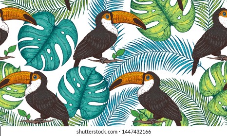 Seamless pattern with toucan and palm leaves. Hand drawn vector illustration. Tropical pattern. Jungle illustration.